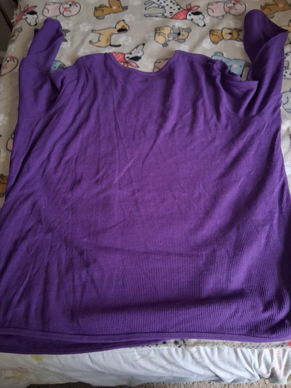 purple womans within plus sweather